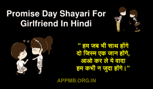 Promise Day Shayari For Girlfriend In Hindi