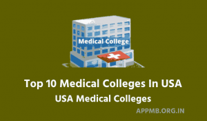 Top 10 Medical Colleges In USA For Indian Students 2023 USA Medical Colleges