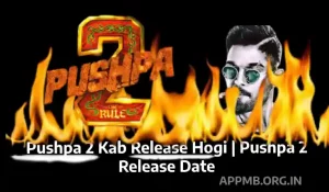 Pushpa 2 Kab Release Hogi Pushpa 2 Release Date