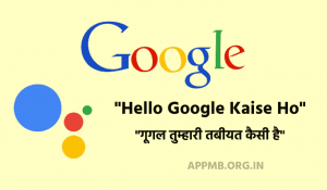 गूगल कैसे हो गूगल तुम्हारी तबीयत कैसी है Hello Google Kaise Ho Google Se Baat Kaise Kare